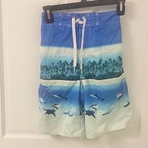 Joe Boxer Boys Shark Swim Trunk